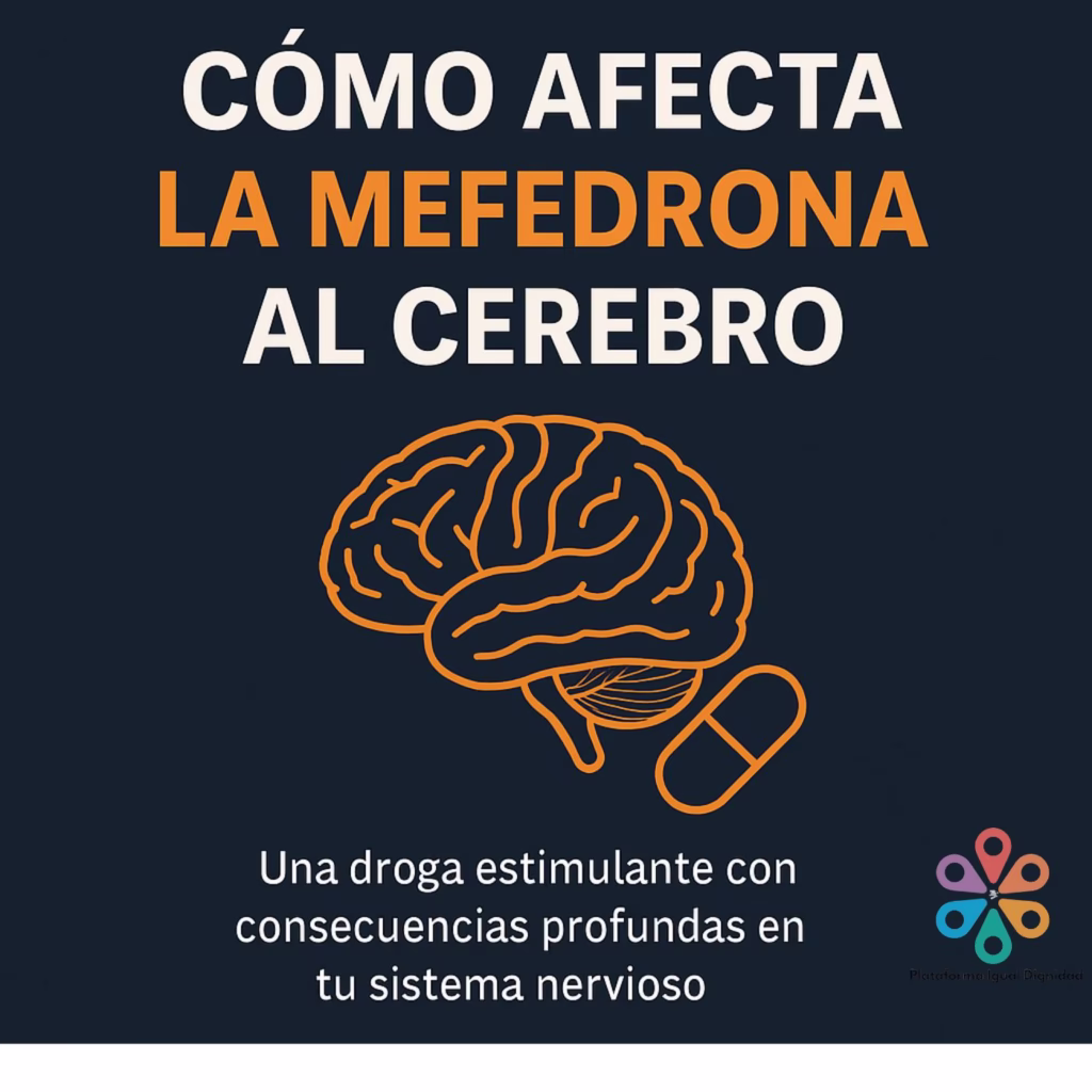 Como afecta al cerebro la Mefedrona